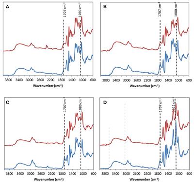 Acidic Ionic Liquid as Both Solvent and Catalyst for Fast Chemical Esterification of Industrial Lignins: Performances and Regioselectivity